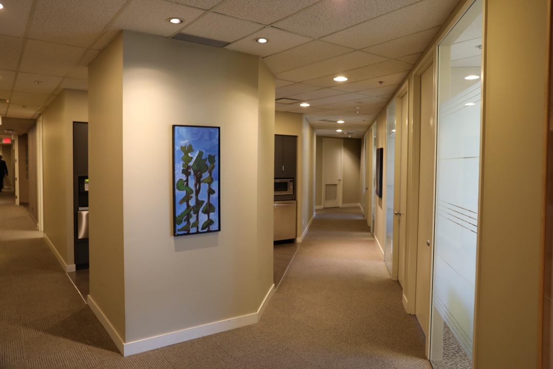 Office hallway with contemporary artwork.